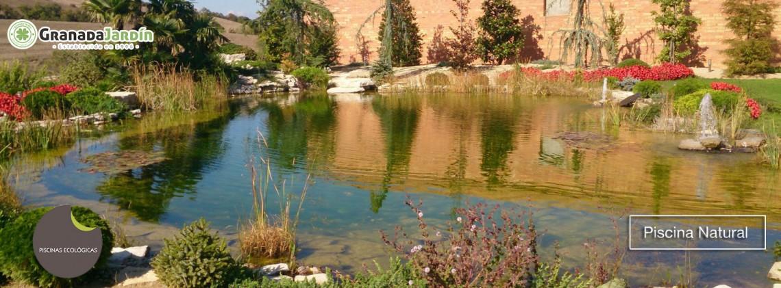 Piscina natural ecológica con filtración biológica